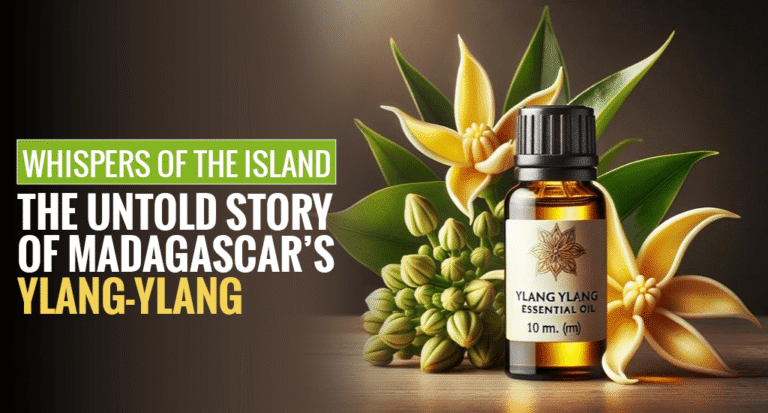 Whispers Of The Island: The Untold Story Of Madagascar’s Ylang-ylang