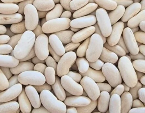 Alubia / White Kidney Beans