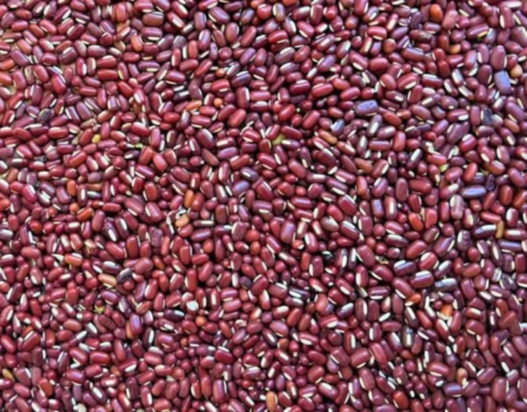 Bamboo / Adzuki Beans