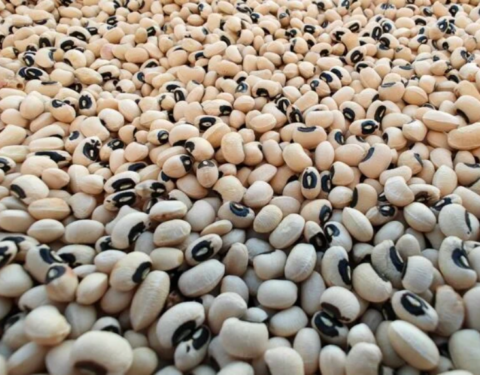 Black Eye Beans