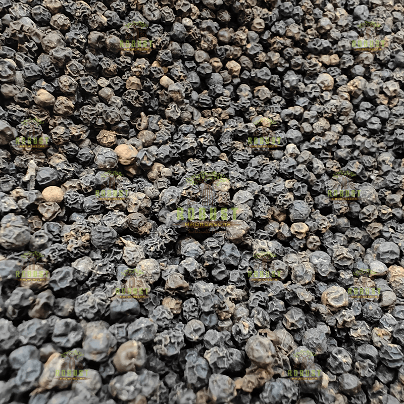 Black Pepper - Image 4