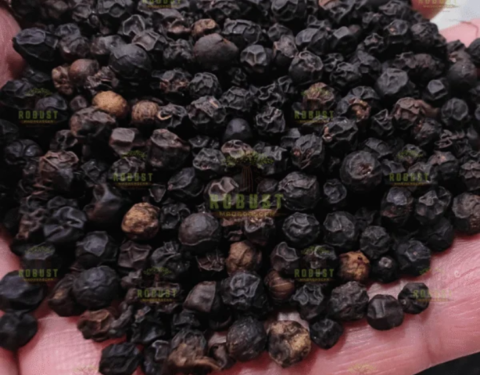 Black Pepper
