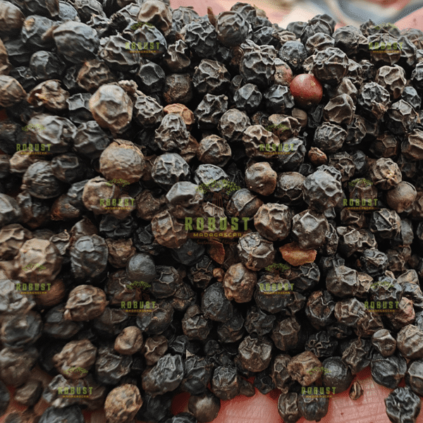 Black Pepper - Image 3