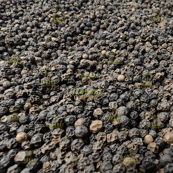 Black Pepper - Image 2