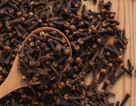 Clove