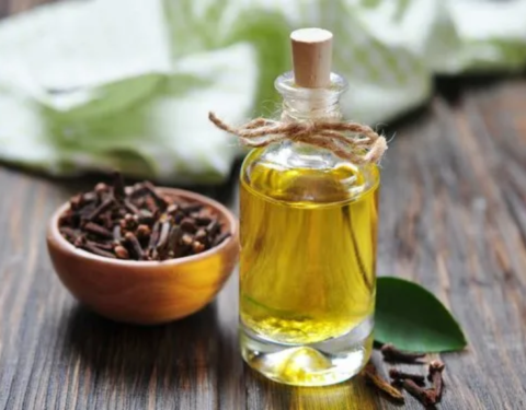 Clove Leaf Oil