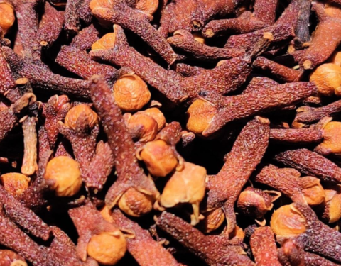 Clove CG1