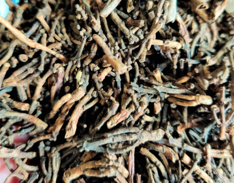 Cloves Stems