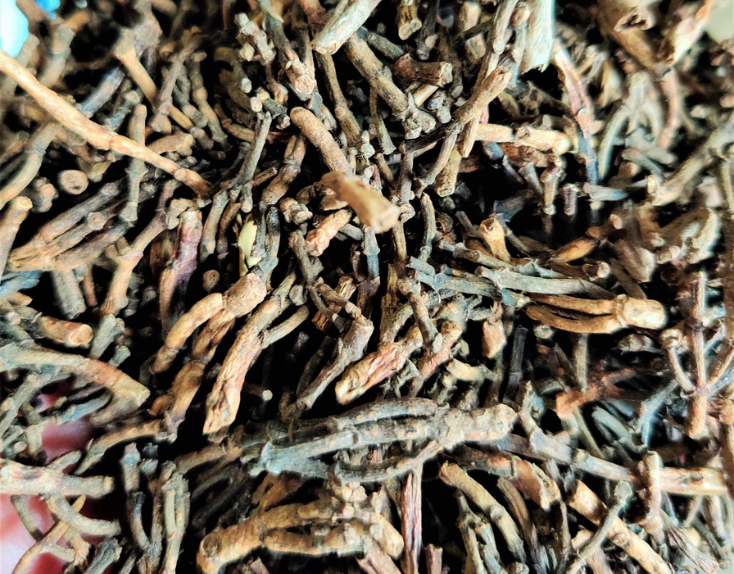 Cloves Stems