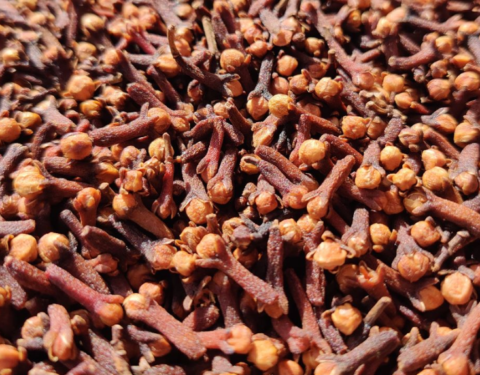 Clove CG3