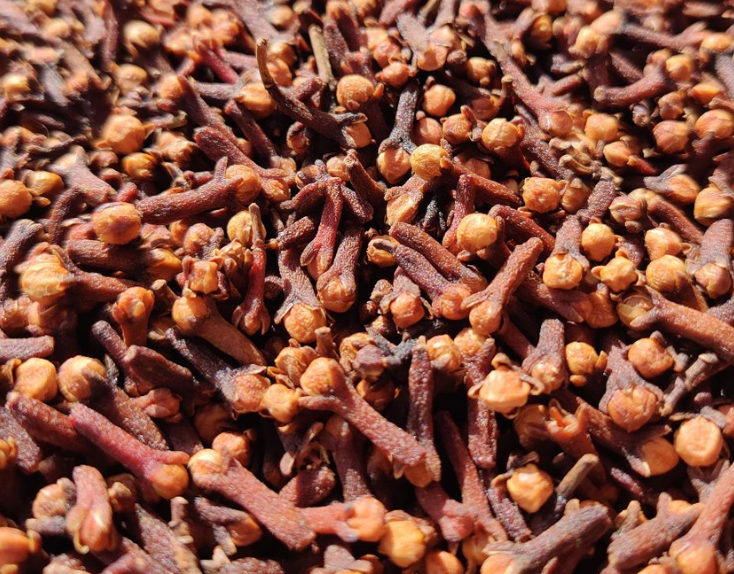 Clove CG3