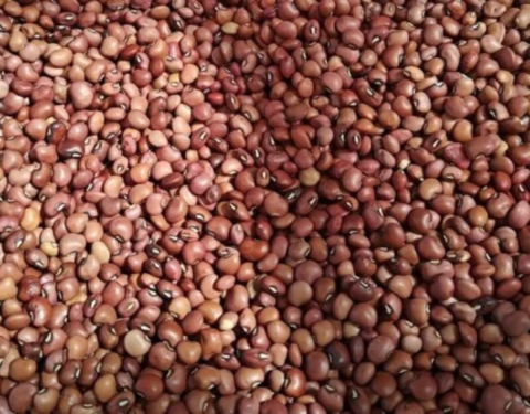 Cow Peas