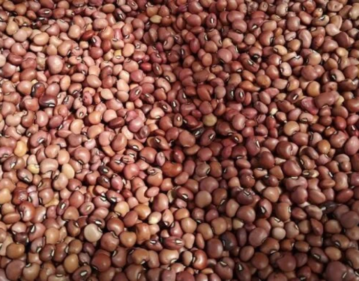 Cow Peas