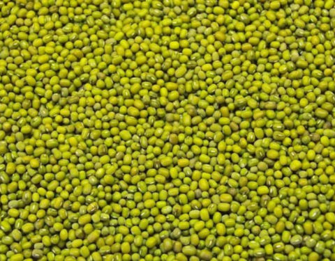 Green Mung Beans