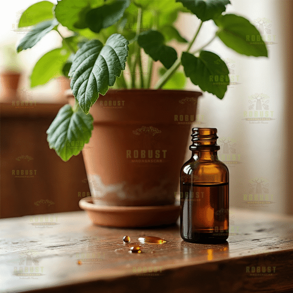 Patchouli Essential Oil from Madagascar - Image 4