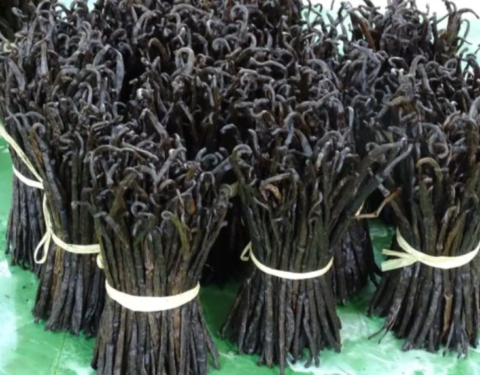 Red EU Extraction Vanilla Beans