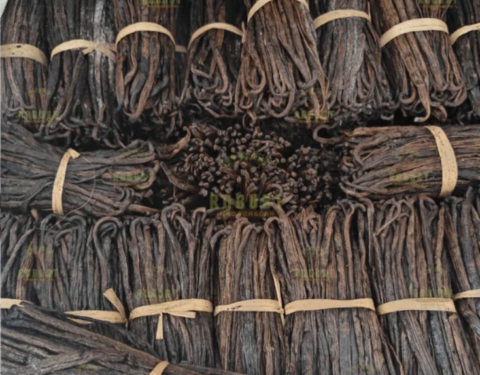 Red US Extraction Vanilla Beans