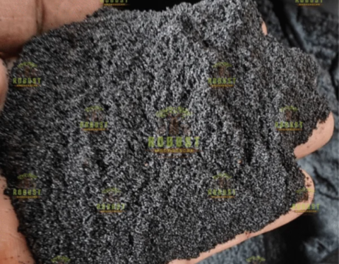 Vanilla Seeds