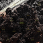 Vanilla Seeds - Image 3