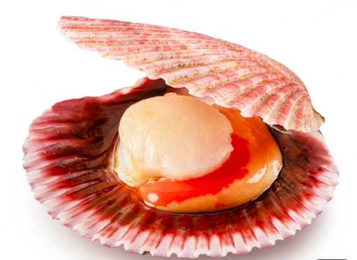 Seared shellfish with vanilla-cinnamon pink pepper sauce